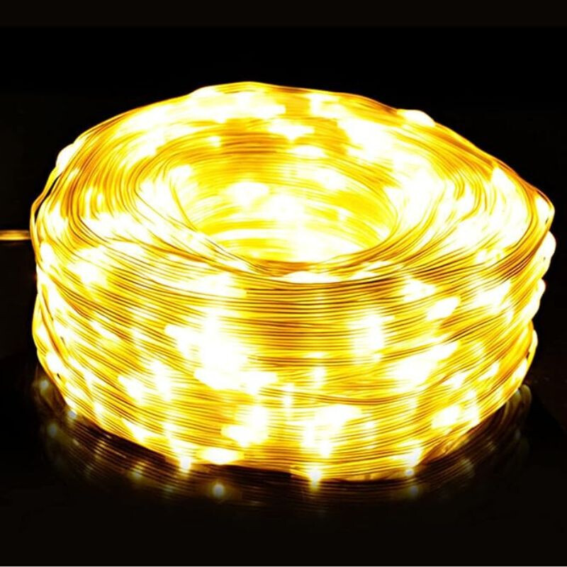 Lucesitas Led 10 Metros Blanco Calido
