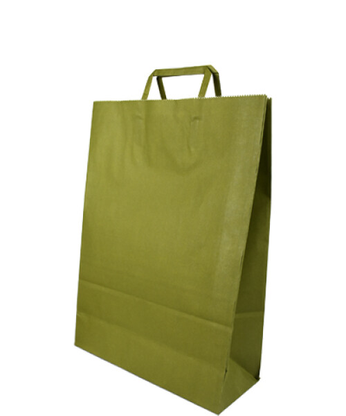 Bolsa lisa acuario 30x12x41 cm VERDE CARDAMOMO