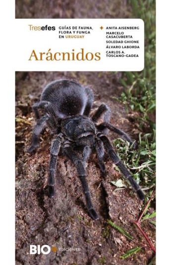 Arácnidos. Guías de fauna, flora y funga en Uruguay Arácnidos. Guías de fauna, flora y funga en Uruguay