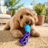 Juguete Morder Perros Gatos Limpieza Dental Golosinas Premio Color Celeste Violeta