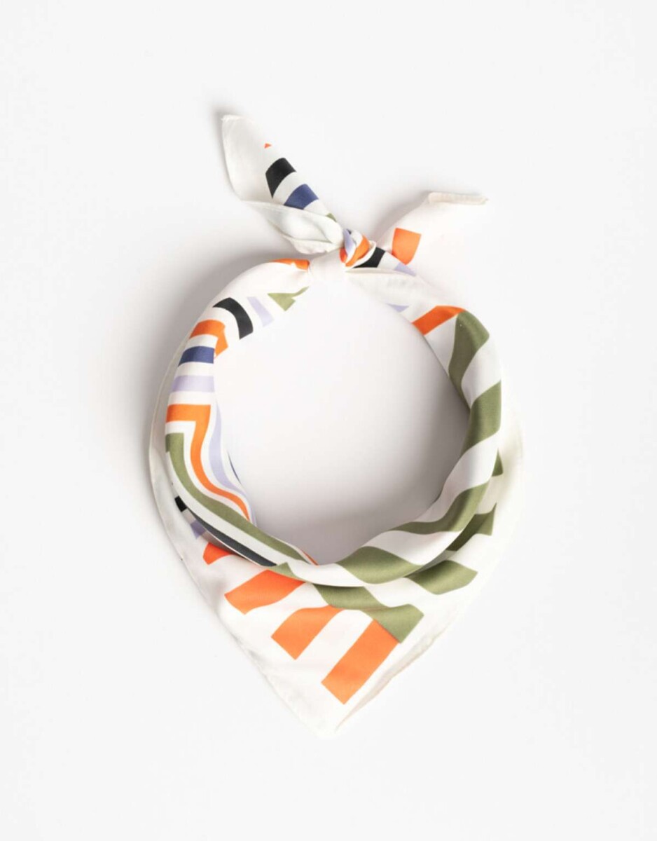 Pañuelo Estampado - Combinacion Multicolor 