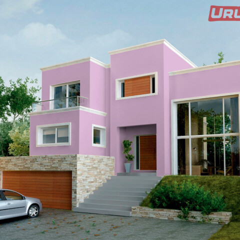 King Latex Latex interior exterior Lila