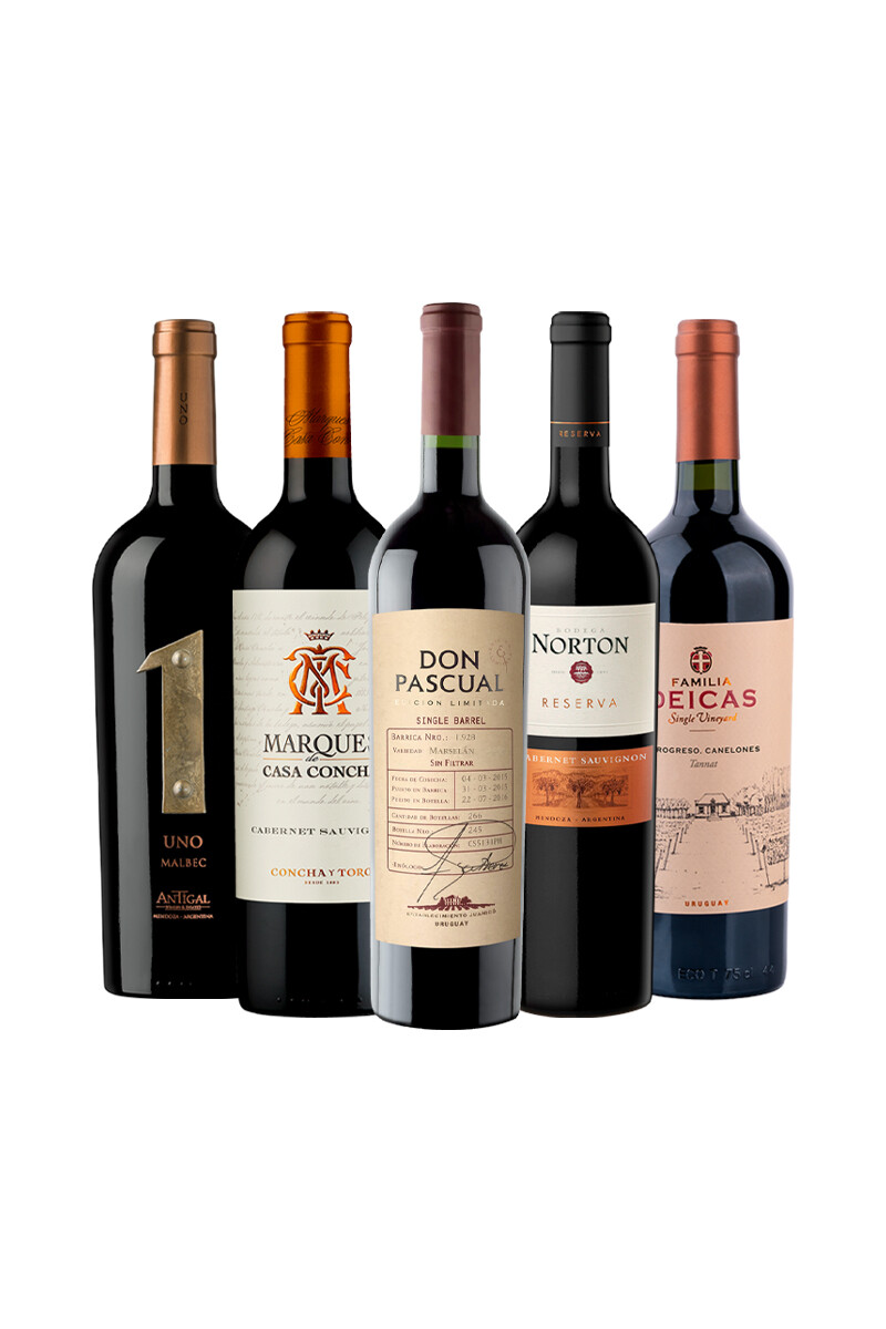 Pack Selección Expresiones del vino x5 vinos Carácter e Intensidad 