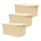 Set x3 Caja simil ratán BEIGE