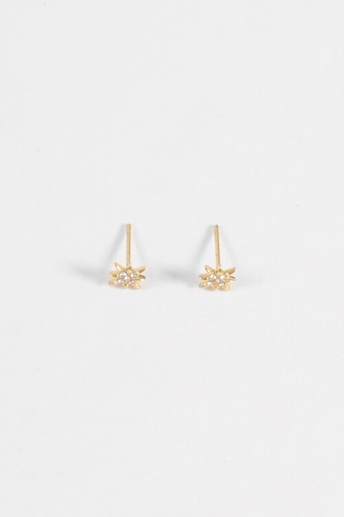 Caravanas pin estrella strass acero dorado