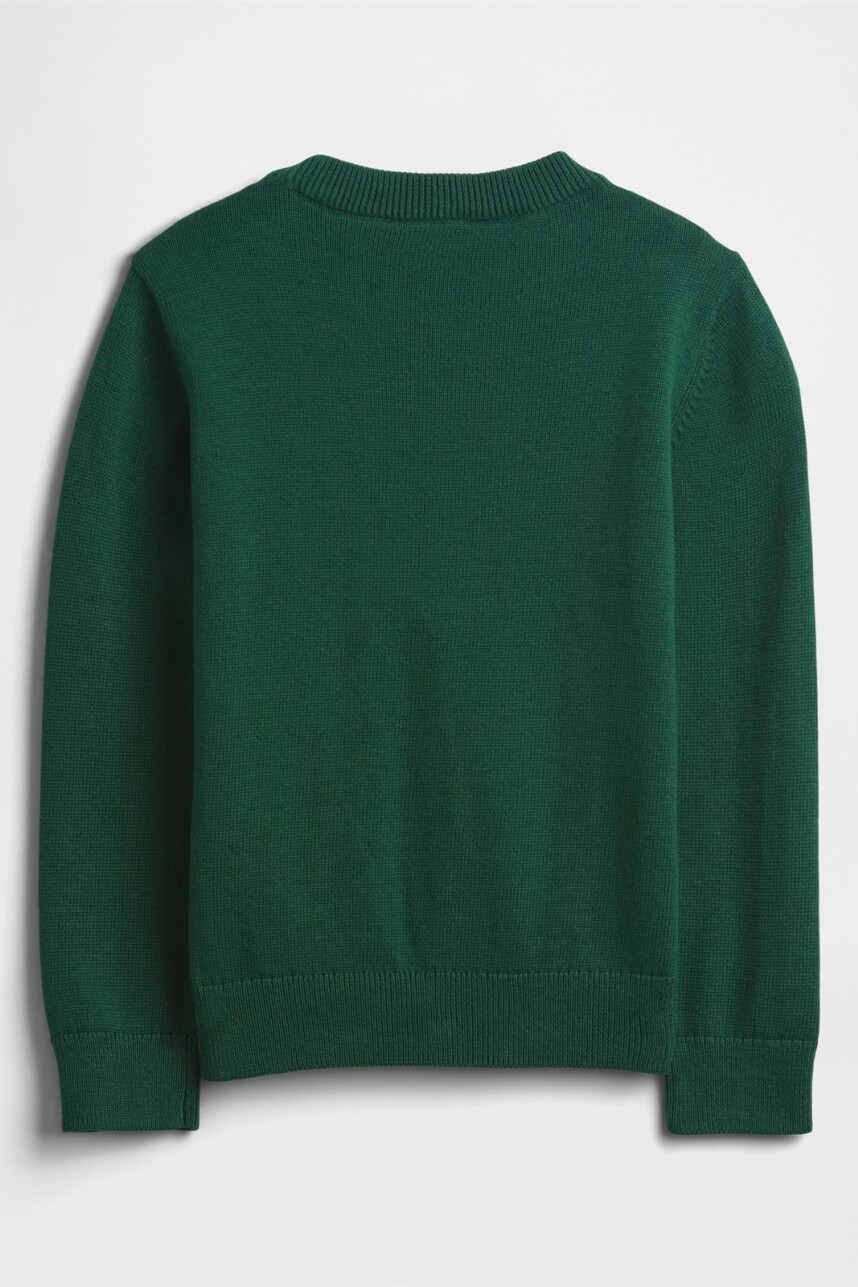 Buzo Gráfico Toddler Niño Evergreen Glamour