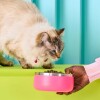Plato comedero mascotas acero inoxidable c/ antideslizante Hyper Flamingo