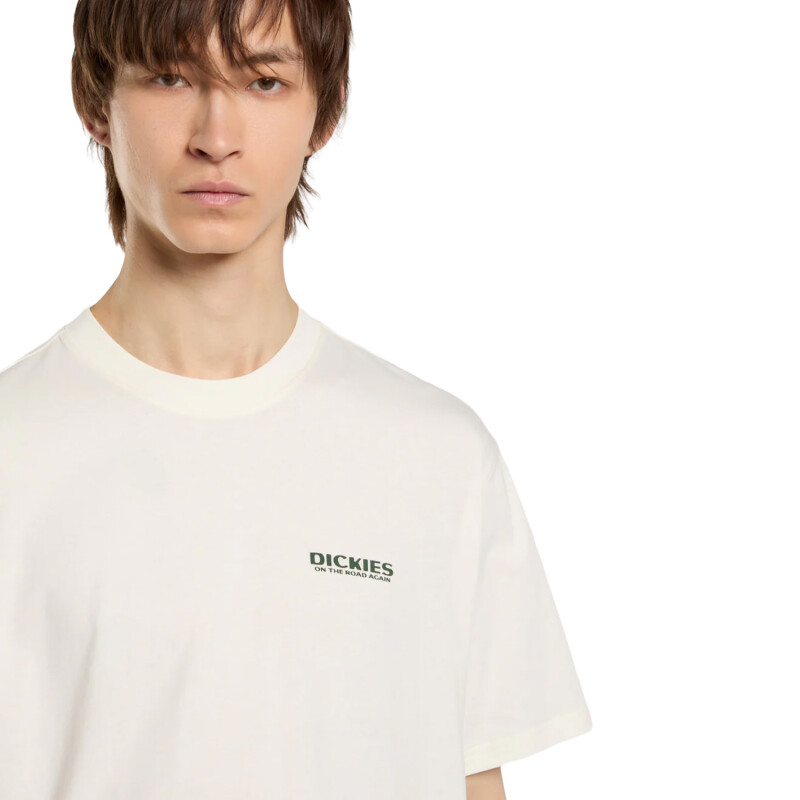 Remera Dickies Burns - Multicolor Remera Dickies Burns - Multicolor
