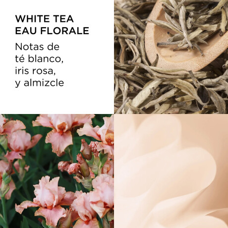 Perfume Elizabeth Arden White Tea Eau Florale 100ml Original Perfume Elizabeth Arden White Tea Eau Florale 100ml Original
