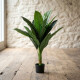 Planta Artificial 1 Metro Planta Artificial 1 Metro