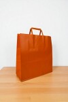 Bolsa lisa acuario 30x12x32 cm NARANJA