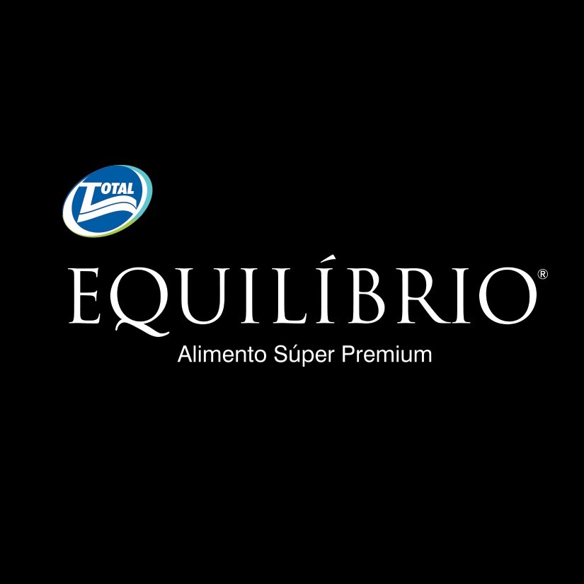 Equilibrio