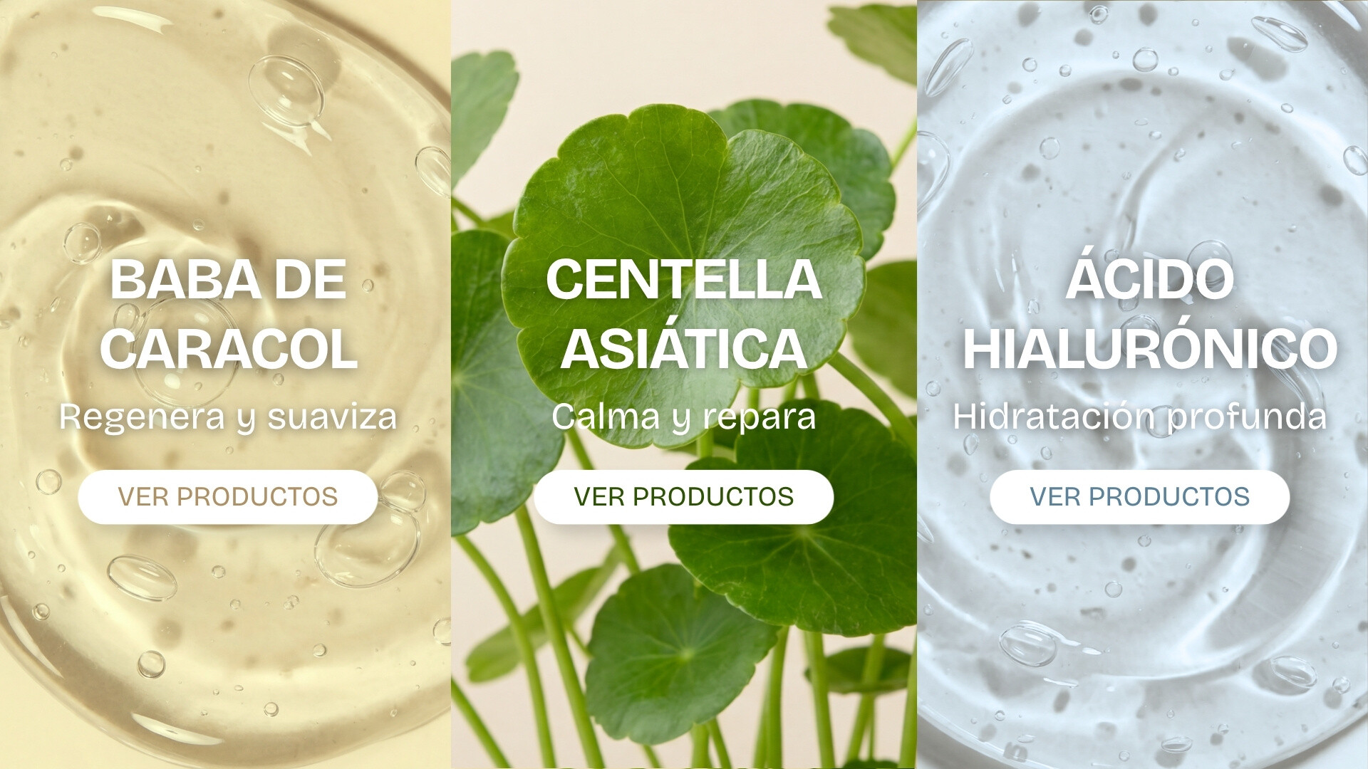 INGREDIENTES