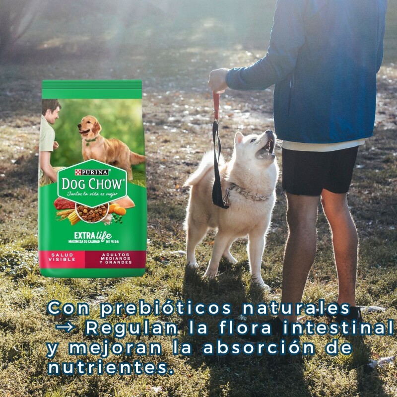 DOG CHOW PERROS ADULTOS RAZAS MEDIANAS Y GRANDES 21 KILOS DOG CHOW PERROS ADULTOS RAZAS MEDIANAS Y GRANDES 21 KILOS