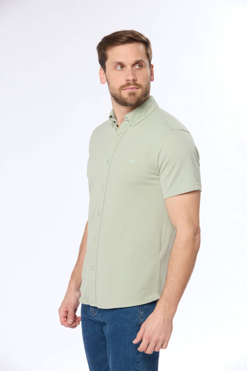CAMISA LISA EN PIQUE Verde