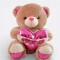 Oso de Peluche con Corazón Rosado Marrón