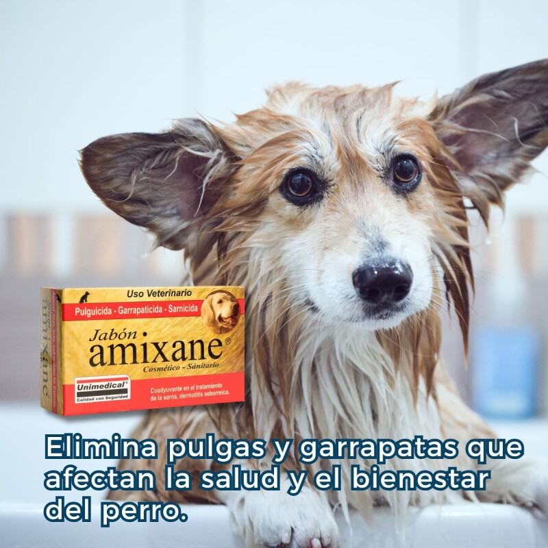 JABÓN AMIXANE PULGICIDA GARRAPATICIDA SARNICIDA 80GR JABÓN AMIXANE PULGICIDA GARRAPATICIDA SARNICIDA 80GR