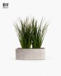 KIT Jardinera "Gris laca" 80cm* 30cm* 30cm* C/ Dietes y Sustratos