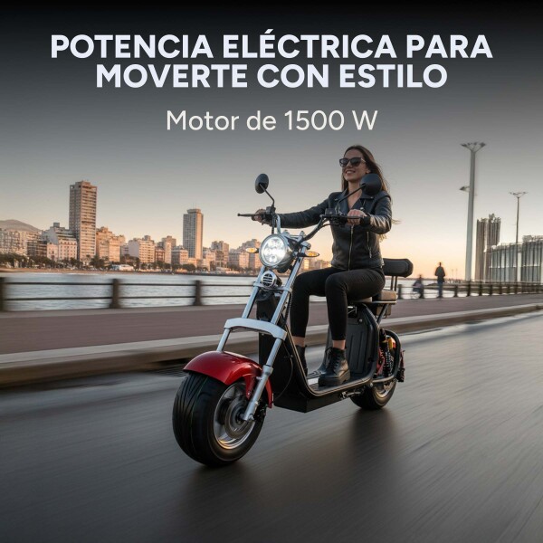 Moto Electrica Gogreen Deluxe 1500W 16Ah 30Km Autono. 45Km/h Color Variante Bordo