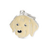 Chapita ID - Golden Retriever Chapita ID - Golden Retriever