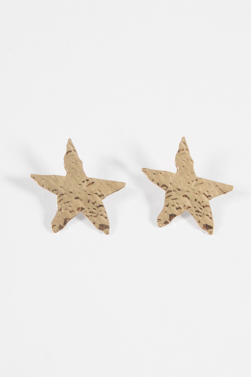 Caravanas texture estrella dorado