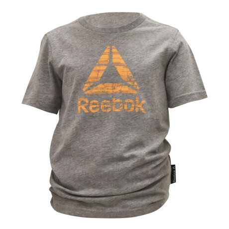 Remera Infantil Reebok B Es Dt Tee Deportiva Urbana Casual Gris