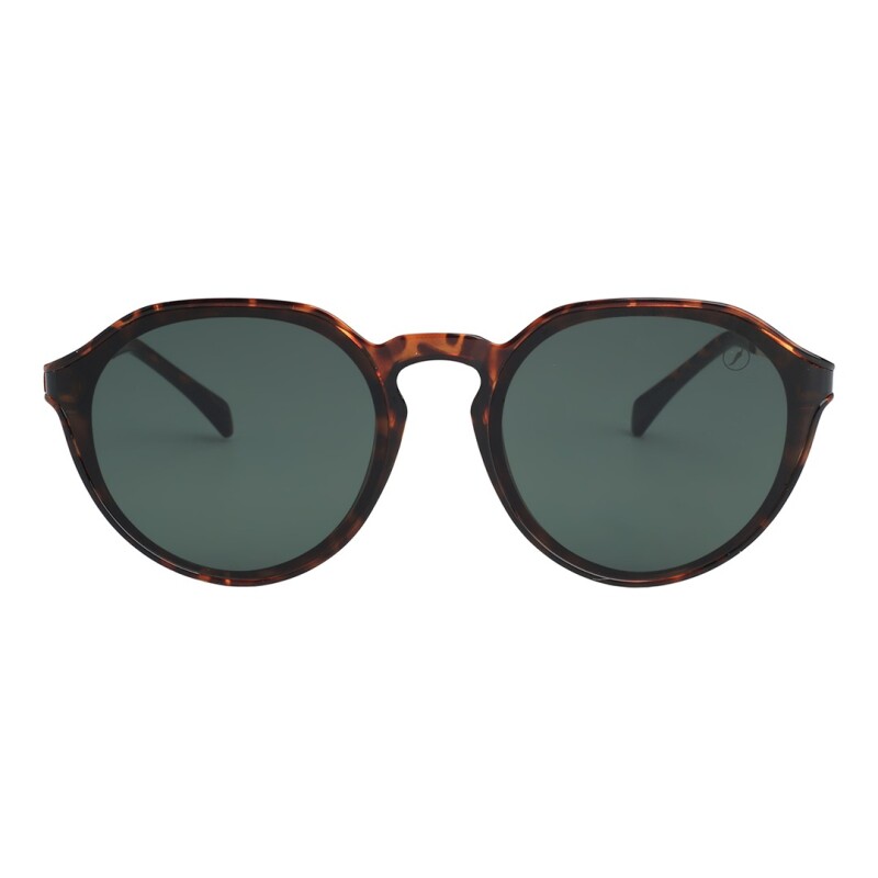 Lentes de Sol Chilli Beans Alejandria Animal Print - Verde