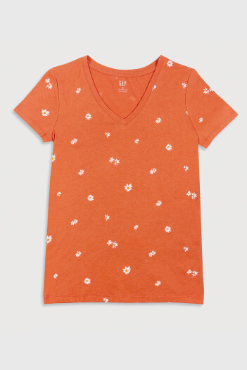 Remera Manga Corta Gráfico Mujer Rust Floral