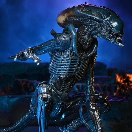 Alien vs Predator • Arachnoid Alien 7" Scale Figure Alien vs Predator • Arachnoid Alien 7" Scale Figure
