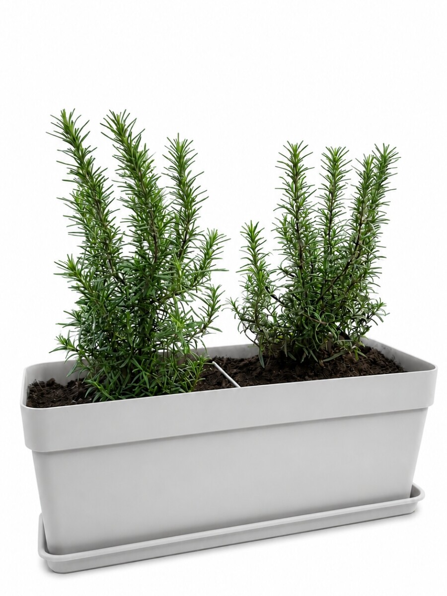 JARDINERA CON ROMEROS GRIS CLARO