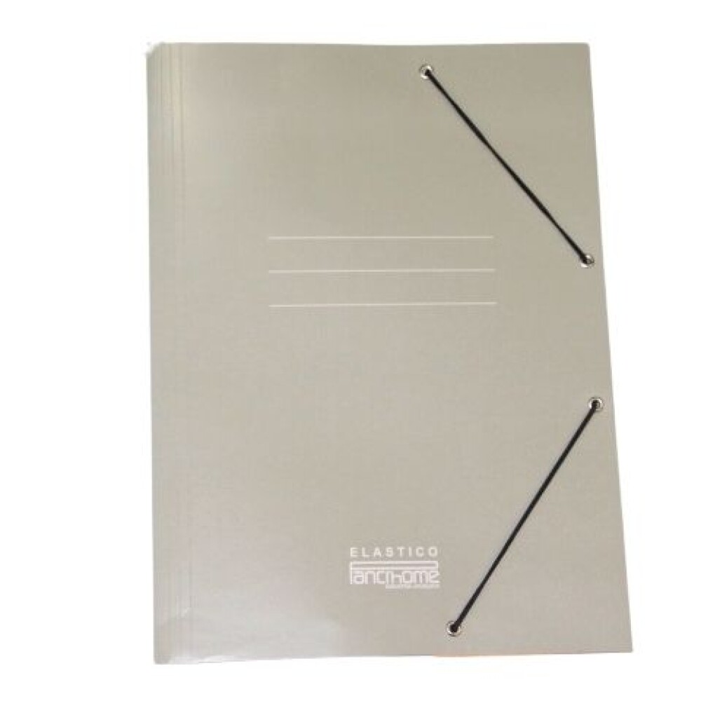 CARPETA PANCHROME CON ELASTICO 307 COLOR GRIS CARPETA PANCHROME CON ELASTICO 307 COLOR GRIS