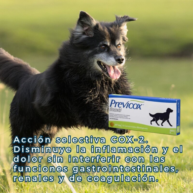 PREVICOX 227 MG 30 COMPRIMIDOS PREVICOX 227 MG 30 COMPRIMIDOS