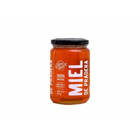 Miel Terra Verde 3004 de Pradera 850GS 001