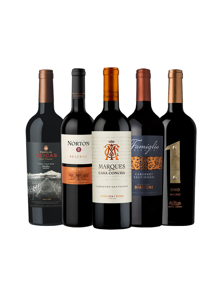 Pack Bacán Momento Pausa x5 vinos Para desconectar Pack Bacán Momento Pausa x5 vinos Para desconectar