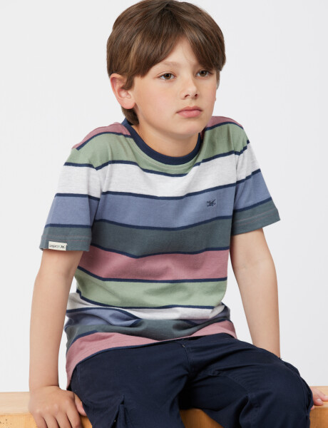 REMERA RAYADA Verde