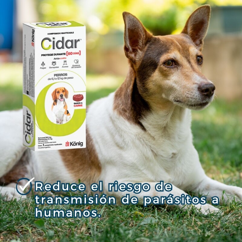 CIDAR PERROS PASTILLA ANTIPULGAS Y ANTIGARRAPATAS KONIG 6.1 A 12 KG