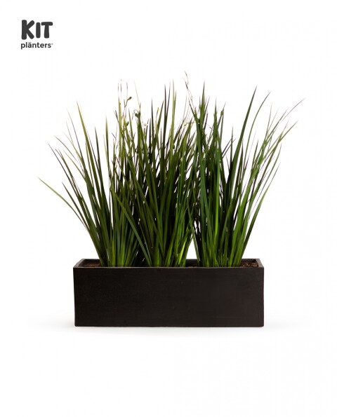 KIT Jardinera "Negro mate" 1m* 30cm* 30cm* con Dietes, Sustratos y cubresuelo