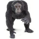 Safari Ltd. 100302 - Chimpancé Safari Ltd. 100302 - Chimpancé