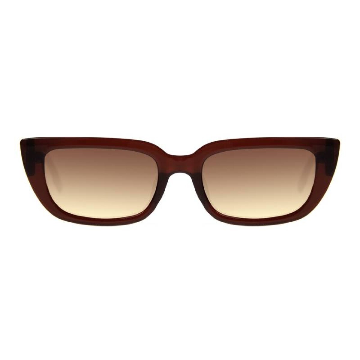 Lentes de Sol Chilli Beans Xalapa - Marrón 