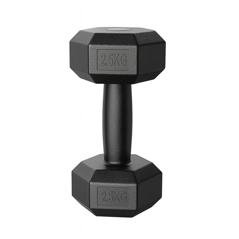 Mancuerna 2,5KG Revestida en Pvc Mancuerna 2,5KG Revestida en Pvc