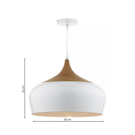 Lampara de techo Rayong D30