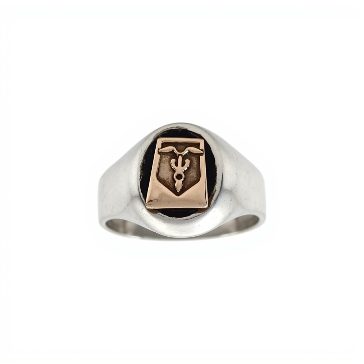 Anillo Profesión Contador - Plata y Oro-Sin Piedra-AP5045 - ap5045 