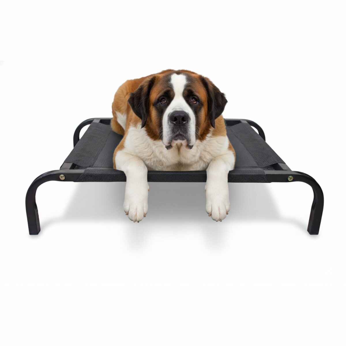 Cama para Mascota Tamaño L modelo Catrex Beepet 