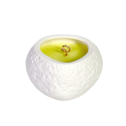 VELA AROMATICA LEMON TREES 10X7X7CM Unica