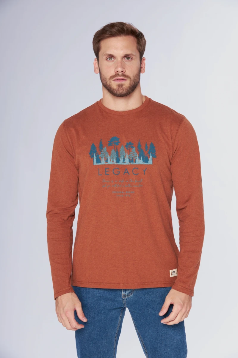 REMERA ESTAMPADA - Terracota 