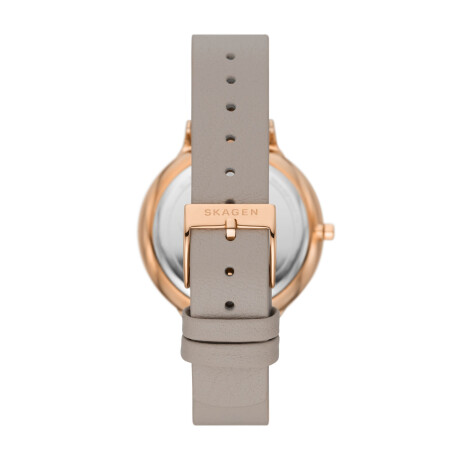 Reloj Skagen Clasico Cuero Gris 0