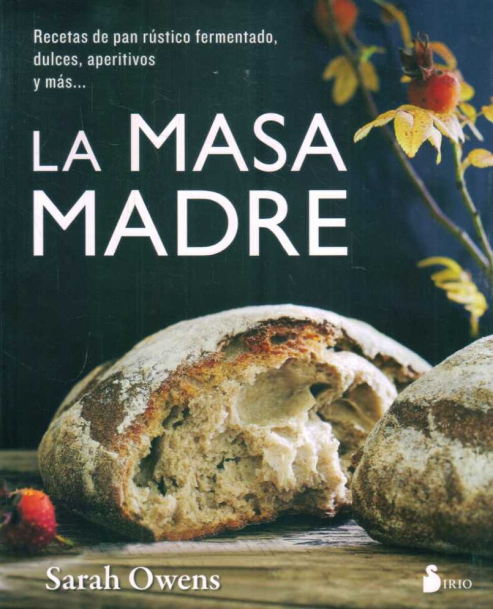 LA MASA MADRE 