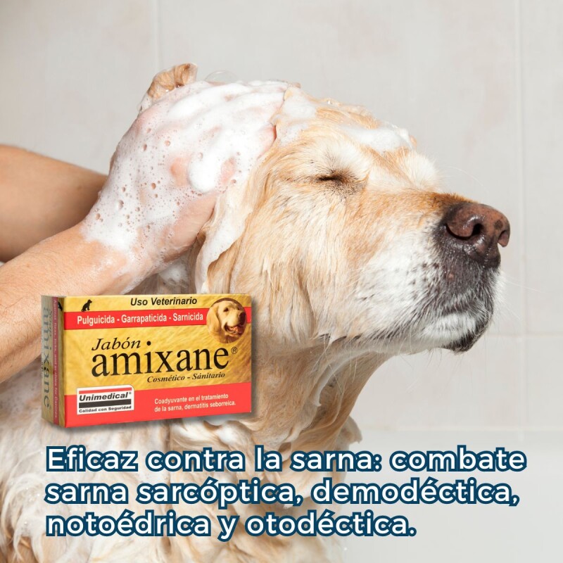 JABÓN AMIXANE PULGICIDA GARRAPATICIDA SARNICIDA 80GR JABÓN AMIXANE PULGICIDA GARRAPATICIDA SARNICIDA 80GR