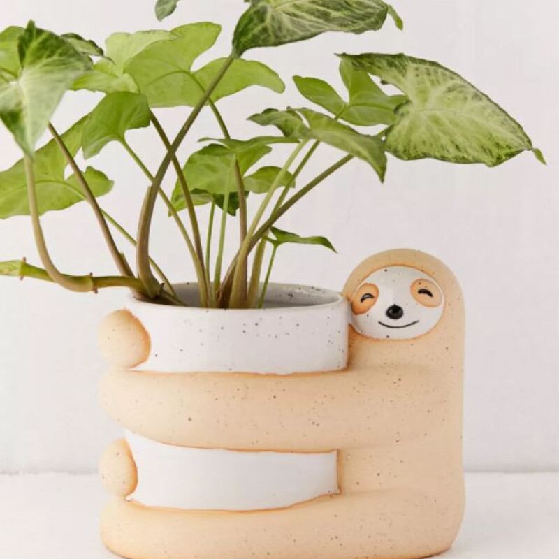 Maceta Sloth gran abrazo Maceta Sloth Gran Abrazo