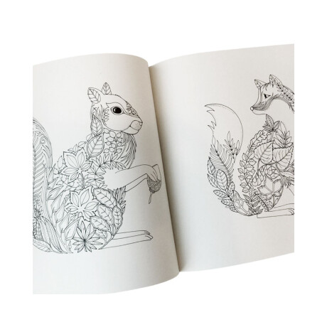 Libro para pintar 12 hojas Libro para pintar 12 hojas